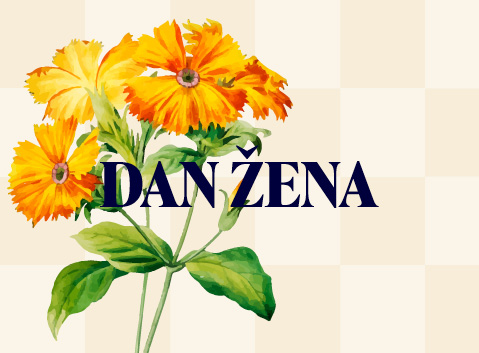 Dan zena novicka